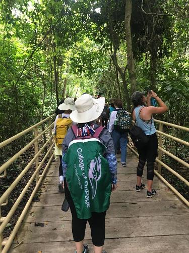 students walking through a forest