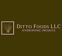 Ditto Foods