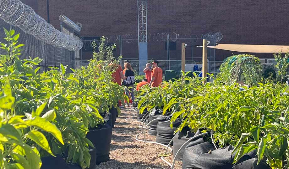 Horticulture garden and class