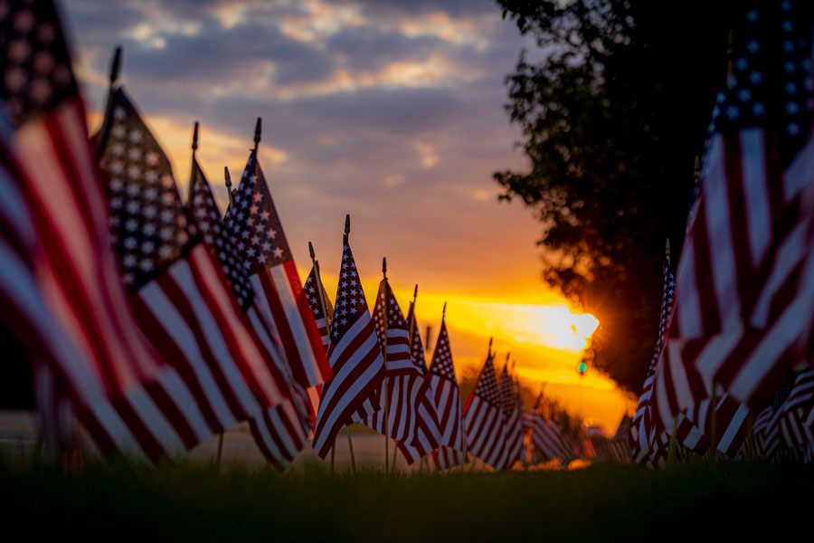 American flags on display at sunrise.
