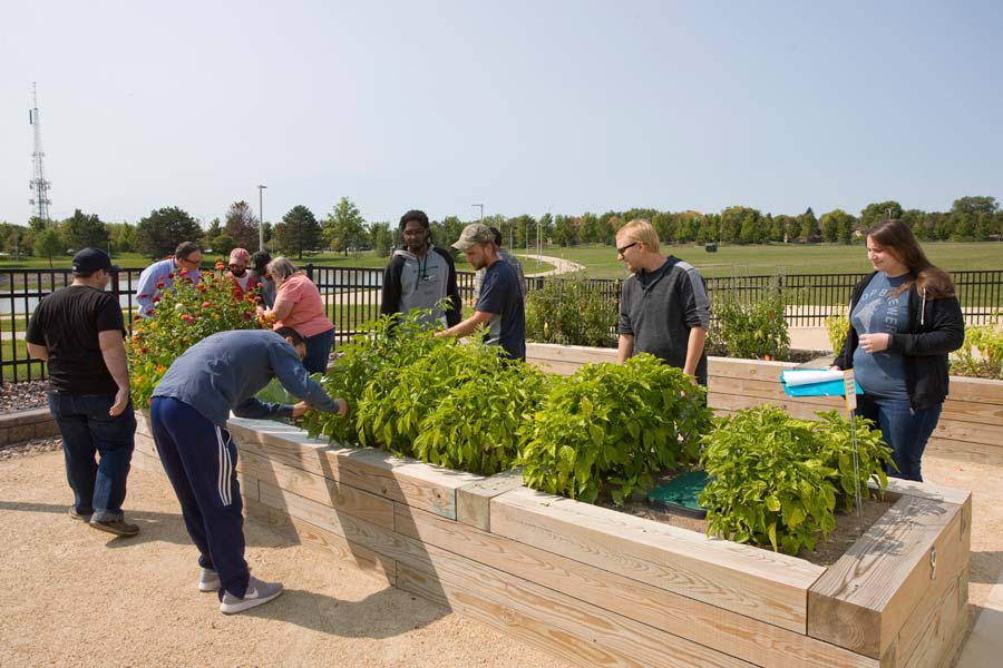 students plant flowers in garden beds outside COD's greenhouse